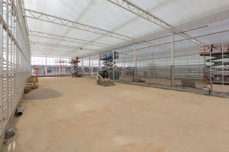 Estidamah-Middle_East-turnkey_project-turnkey_projects-tomatoes_greenhouse-Sabic-growing_vegetables-gewachshauser-22.jpg