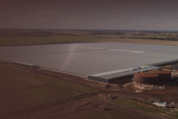 Construction of the first greenhouse with 1.67 m wide roof glass-image