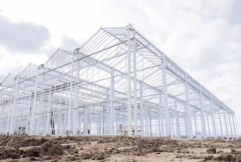 Atrium Agri combines forces of Bom Group and Havecon in new organization-image