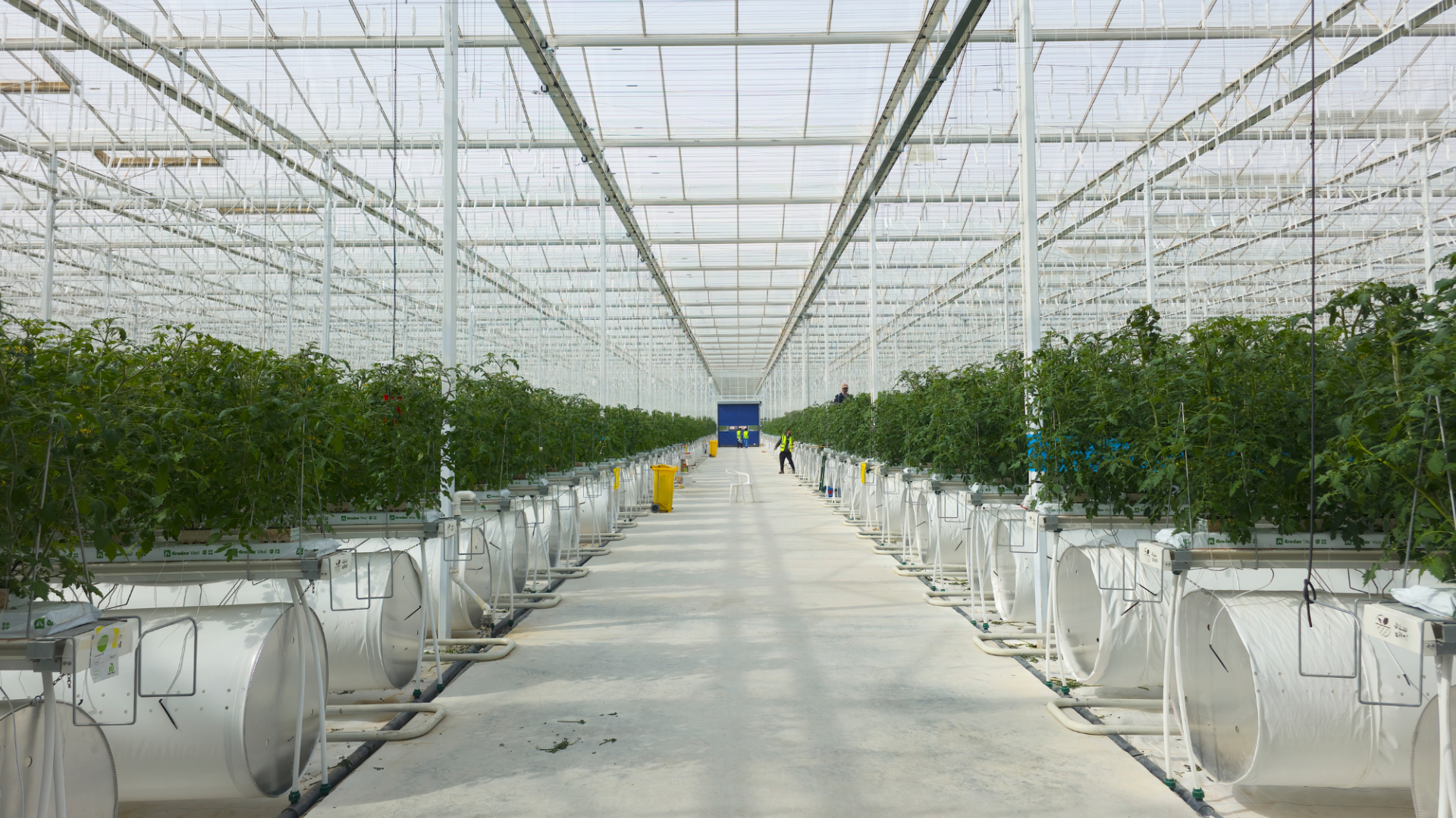 Advanced Semi-Closed Greenhouse at AgTech, Abu Dhabi