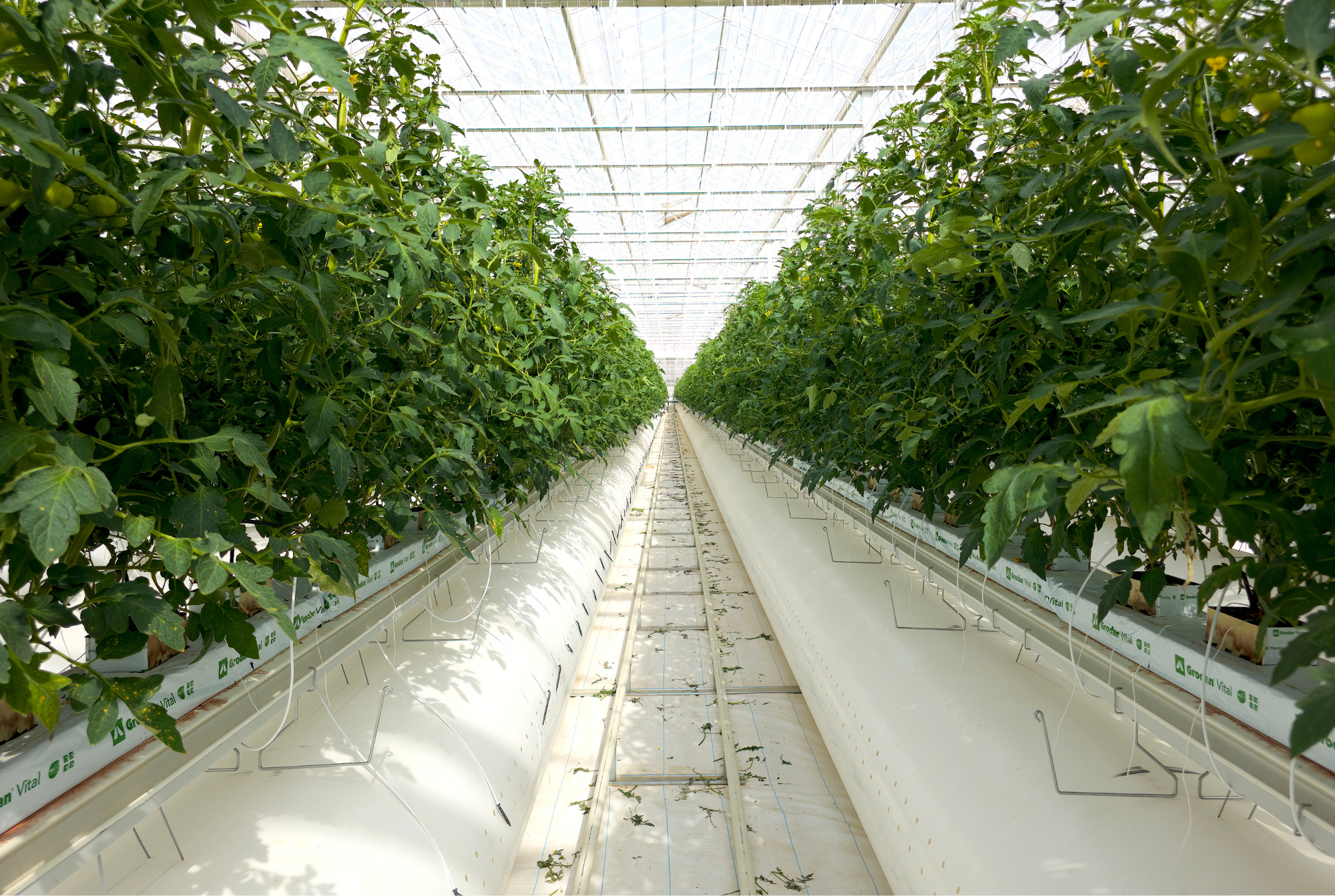 AgTech - Final Results