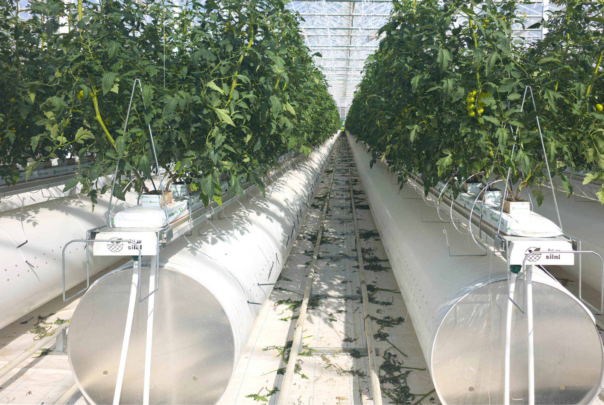 AgTech - Final Results