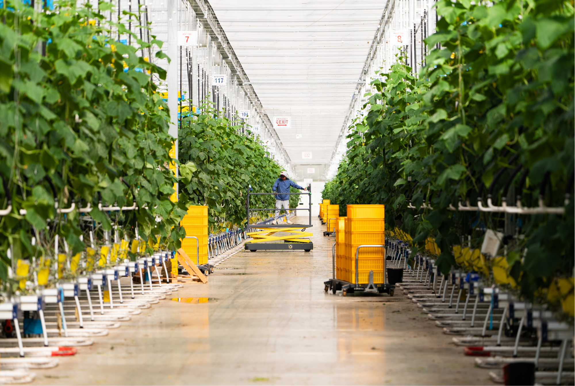 Blue Sky - Final Results