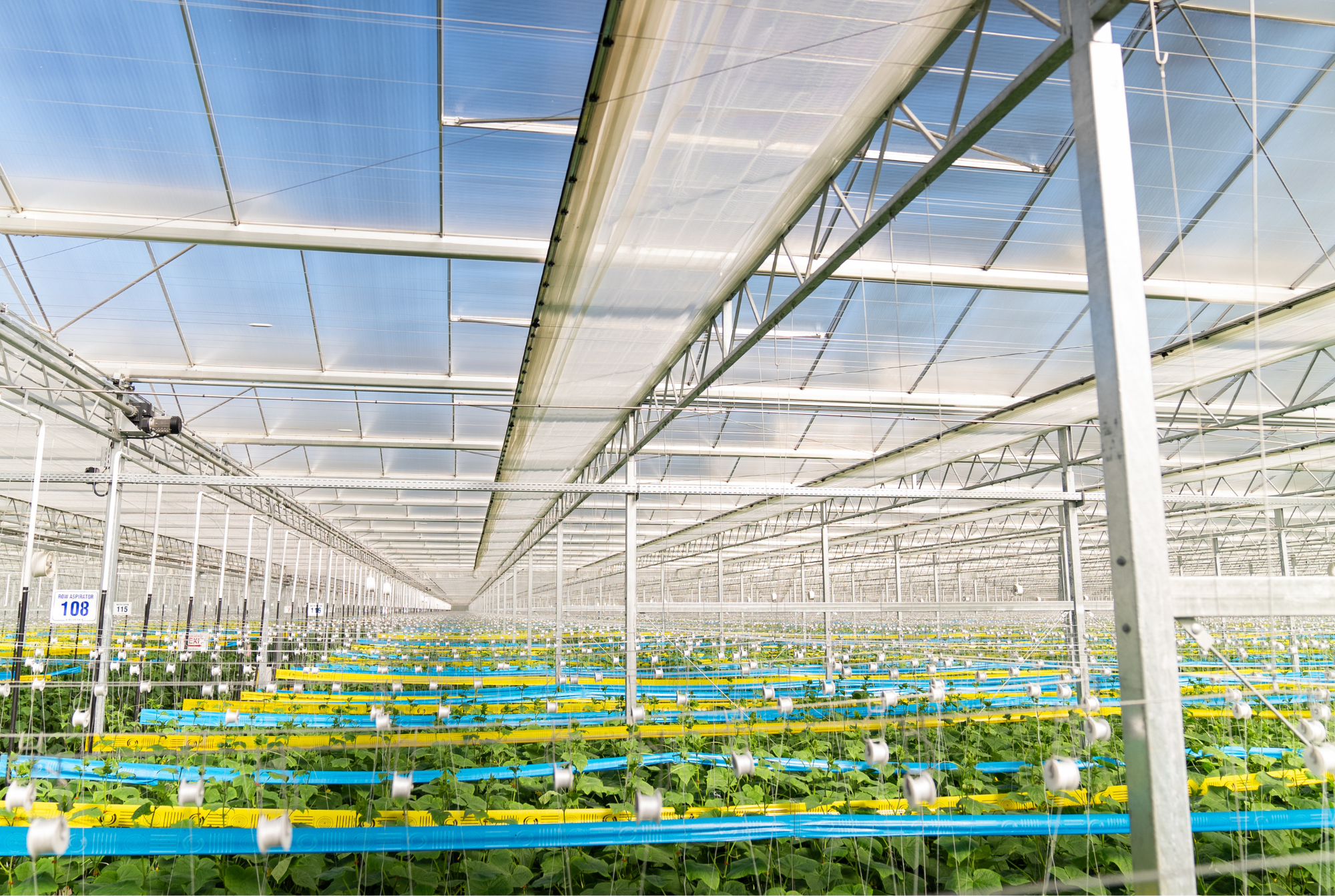 Blue Sky - Final Results