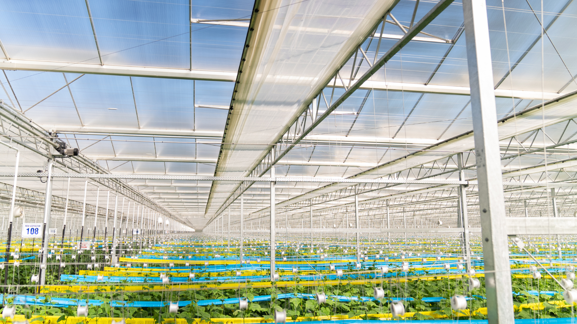 Crystal Clear Greenhouse at Blue Sky, Canada