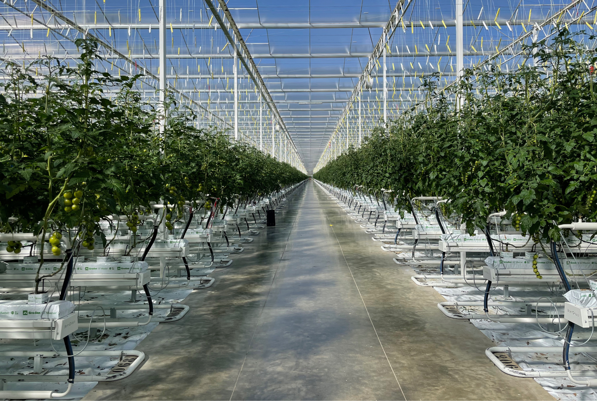 Crown Point - Final Results