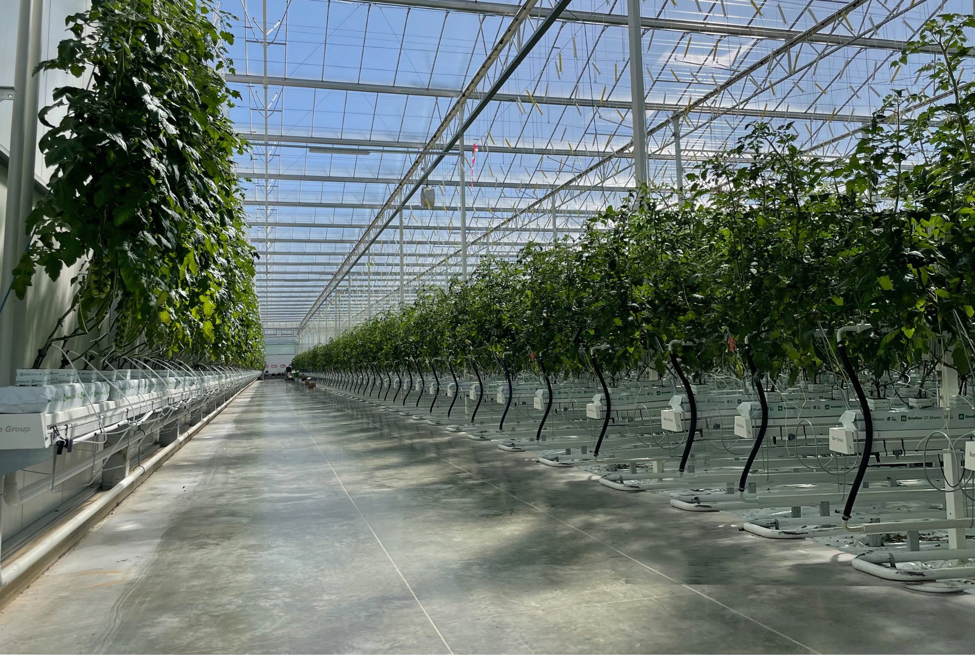 Crown Point - Final Results