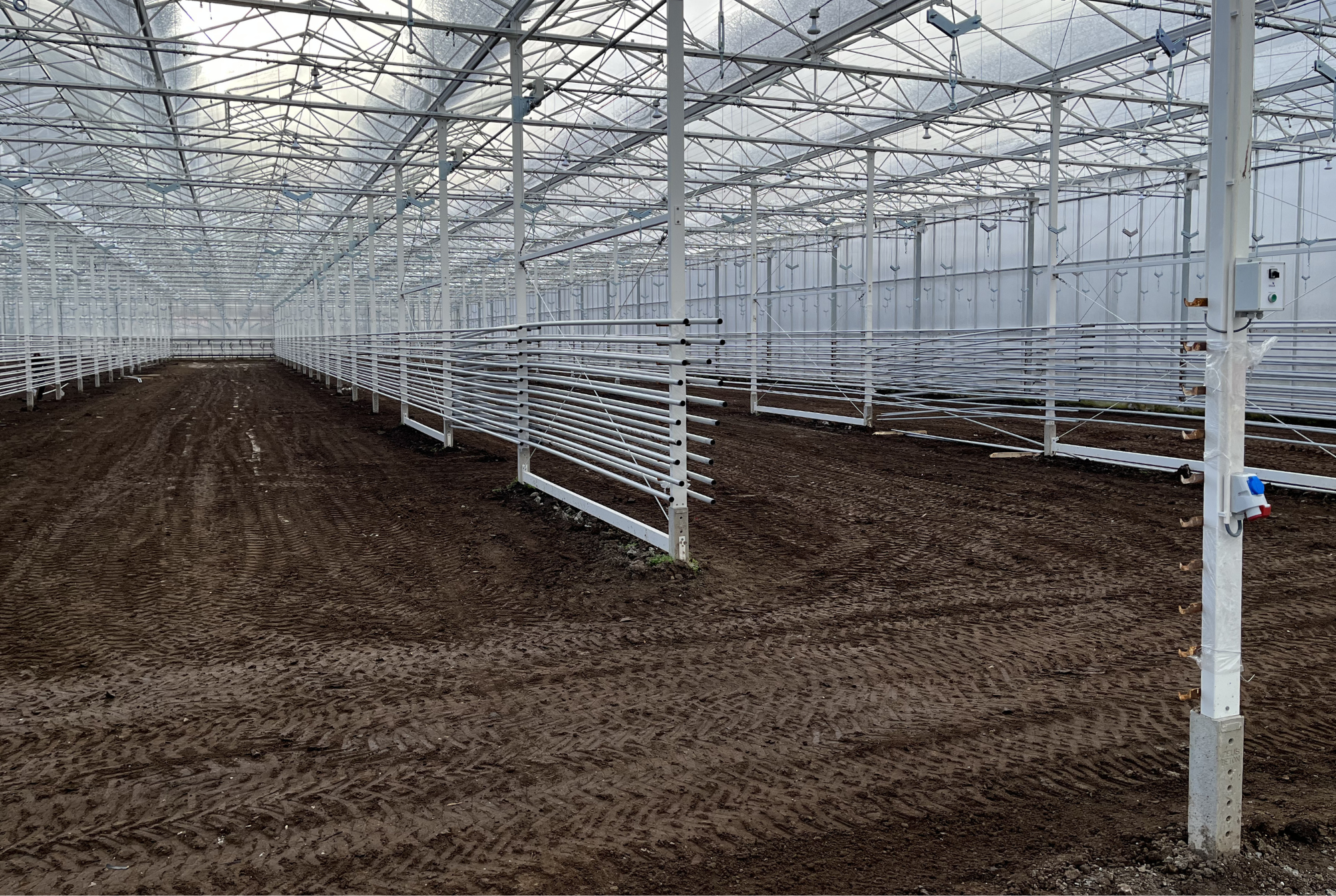 Dutch Berries - Construction Phase