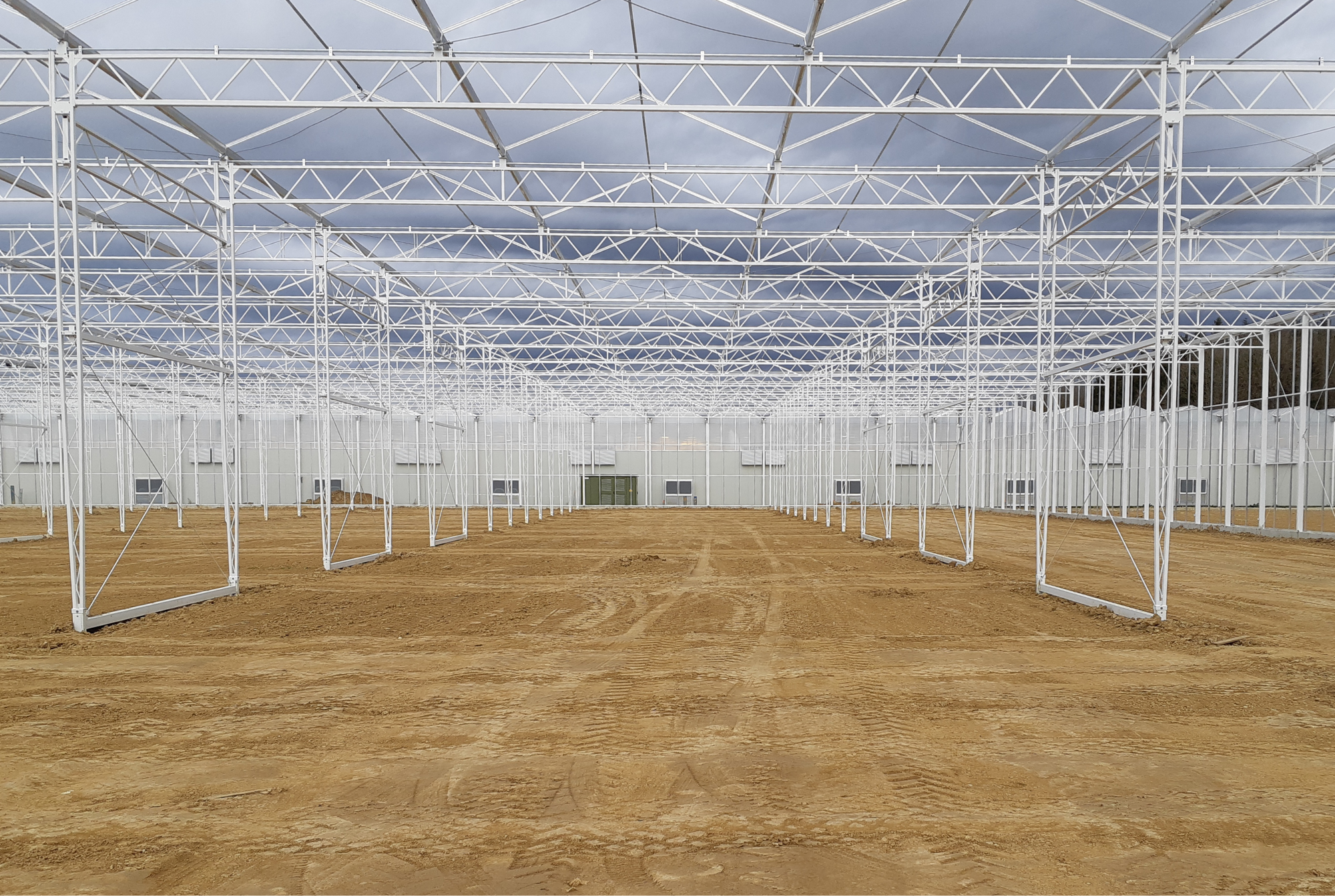 FZ - Construction Phase