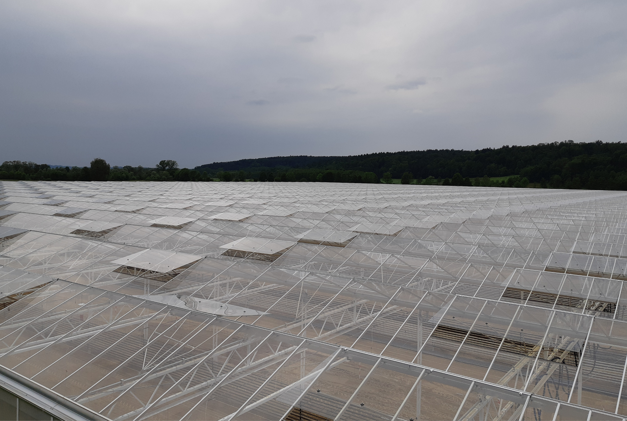 FZ - Project Overview