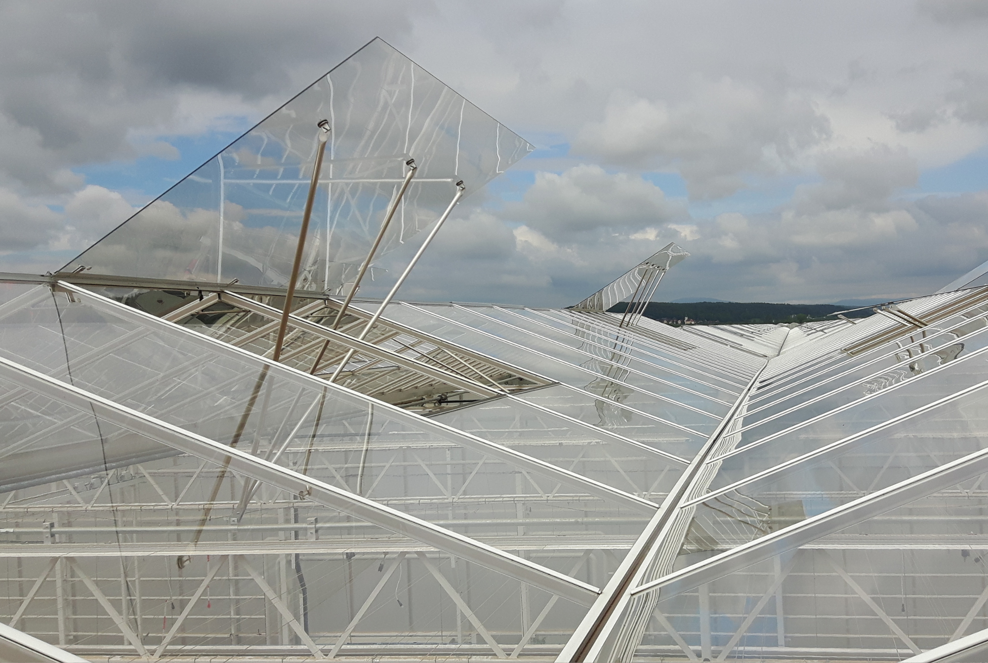 FZ - Project Overview