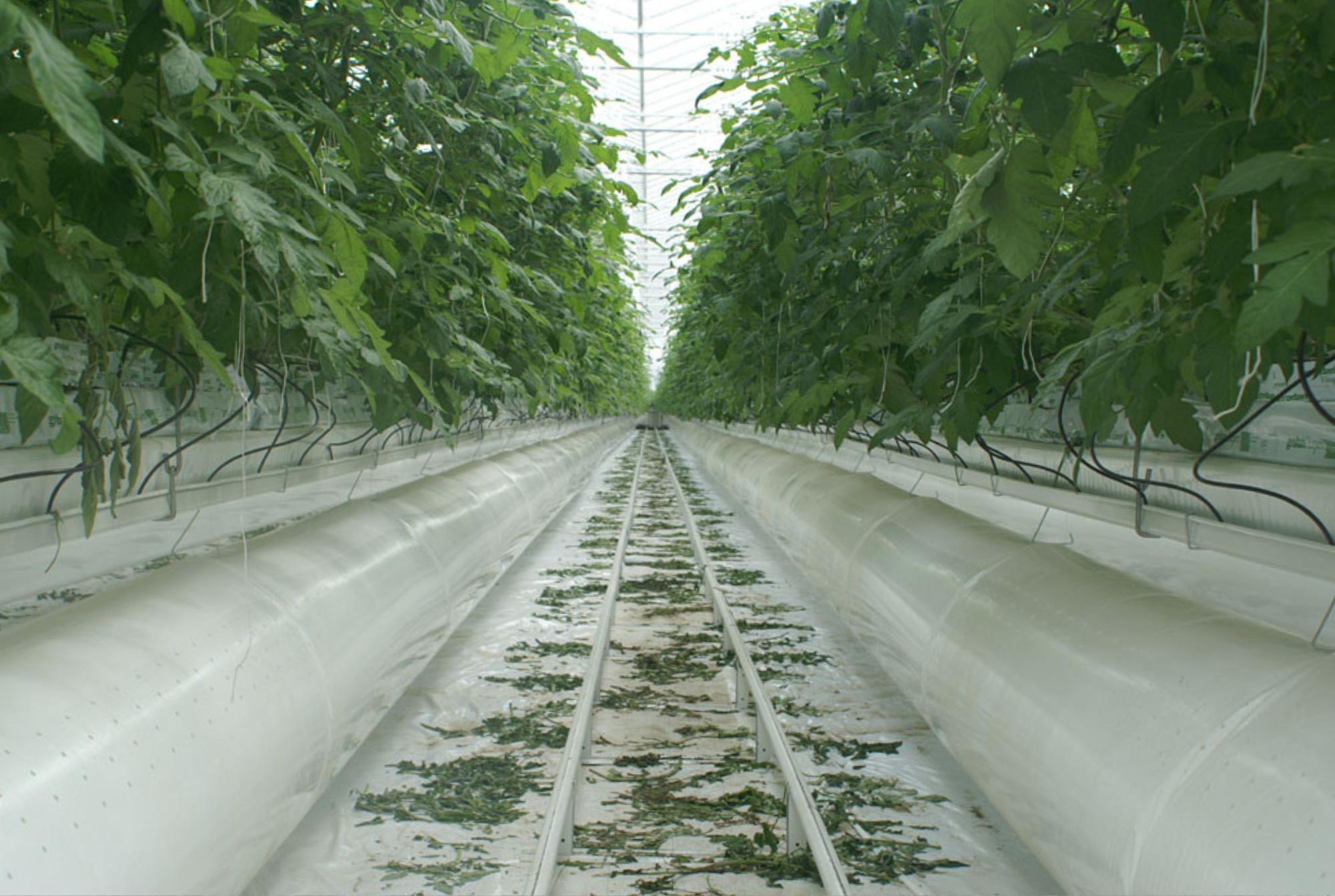 Lans Rilland - Final Results