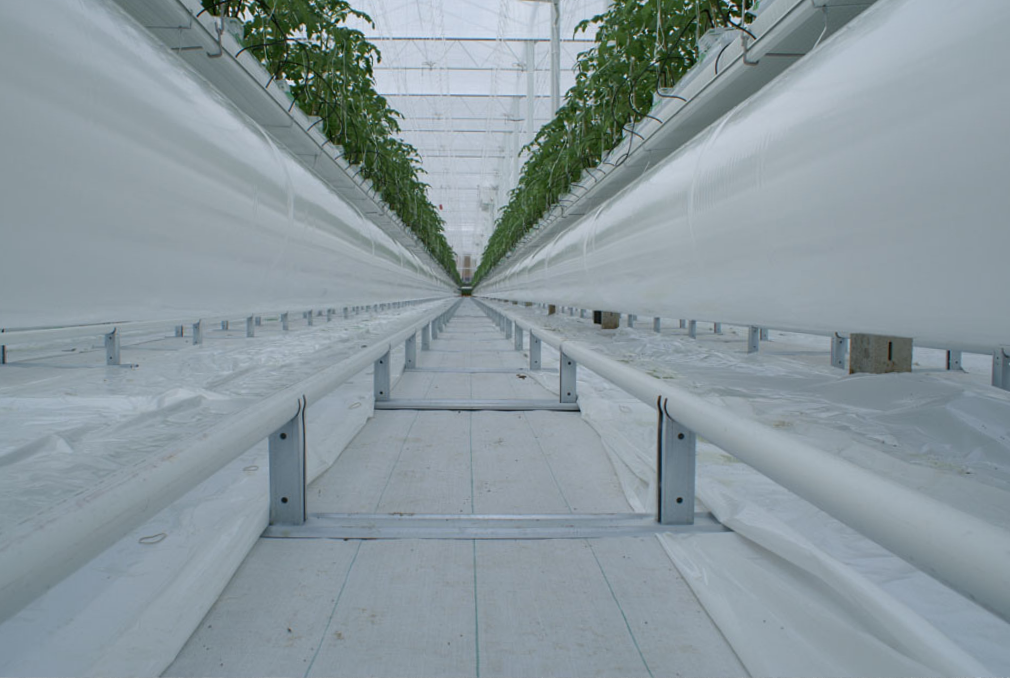 Lans Rilland - Final Results