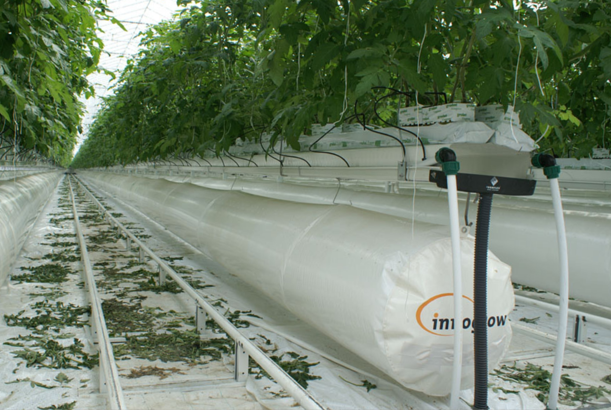 Lans Rilland - Final Results