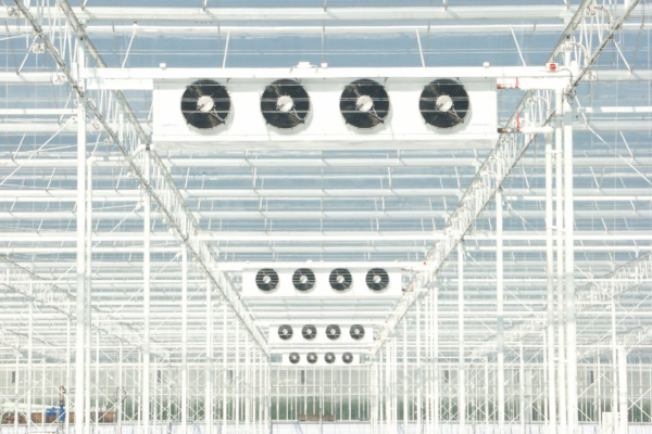 The World’s First Semi-Closed Greenhouse at Lans Rilland, the Netherlands-image