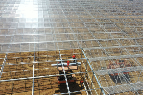 Low-Carbon Greenhouse Growing at Place Farms, United Kingdom-image