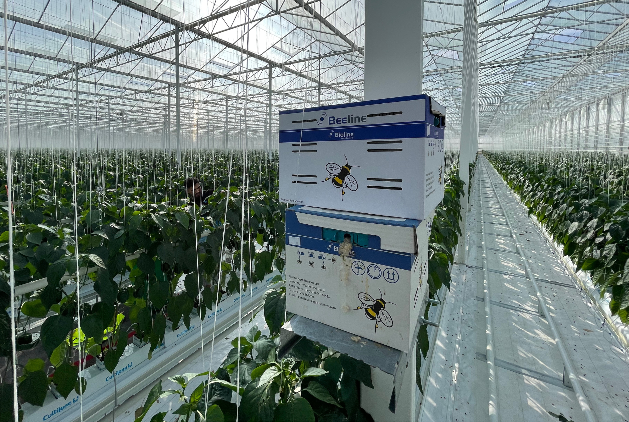 Place Farms - Final Results