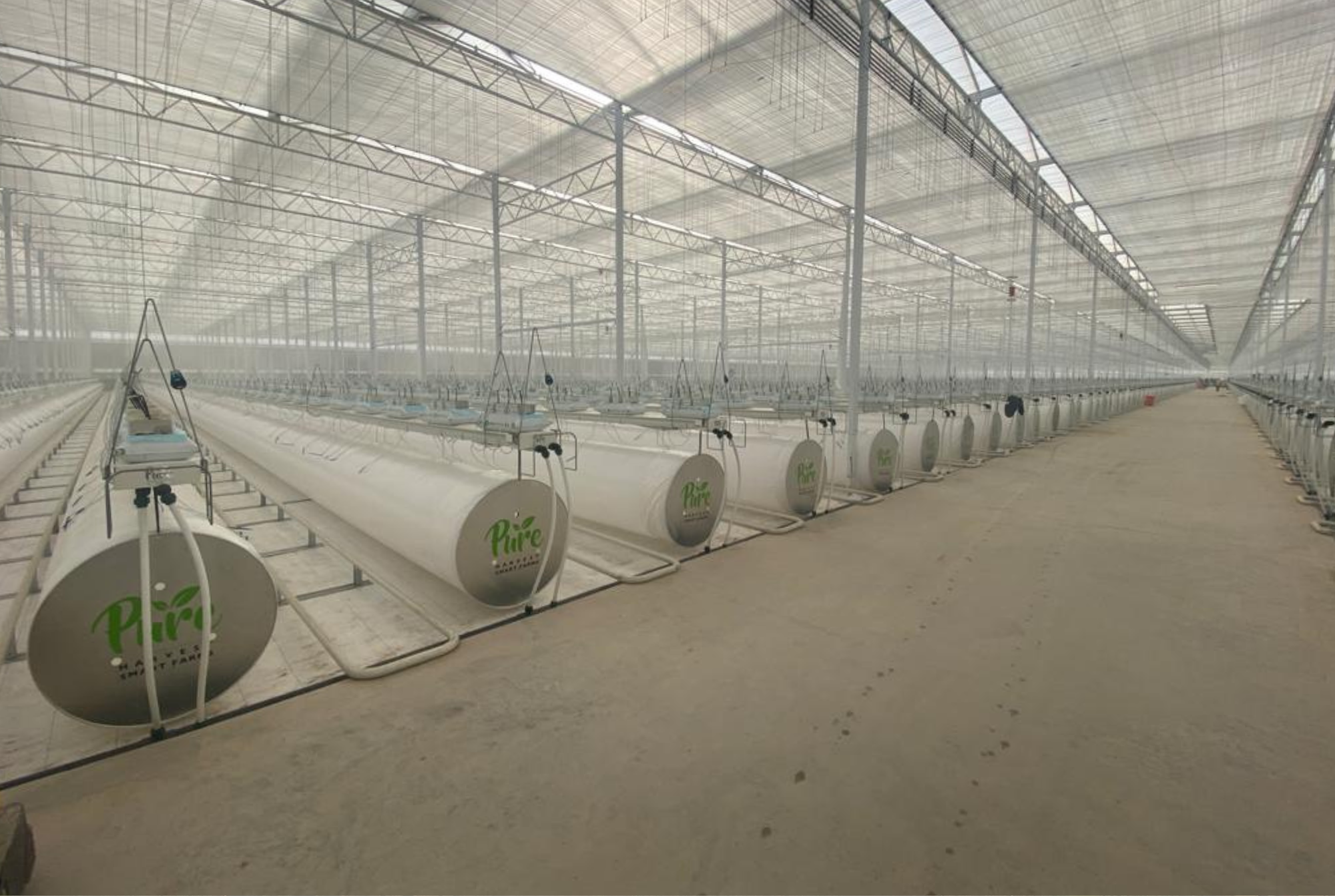 Pure Harvest KSA - Final Results