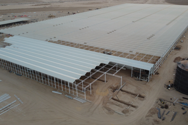 Precision Growing in the Saudi Desert at Pure Harvest Smart Farms, Saudi Arabia-image