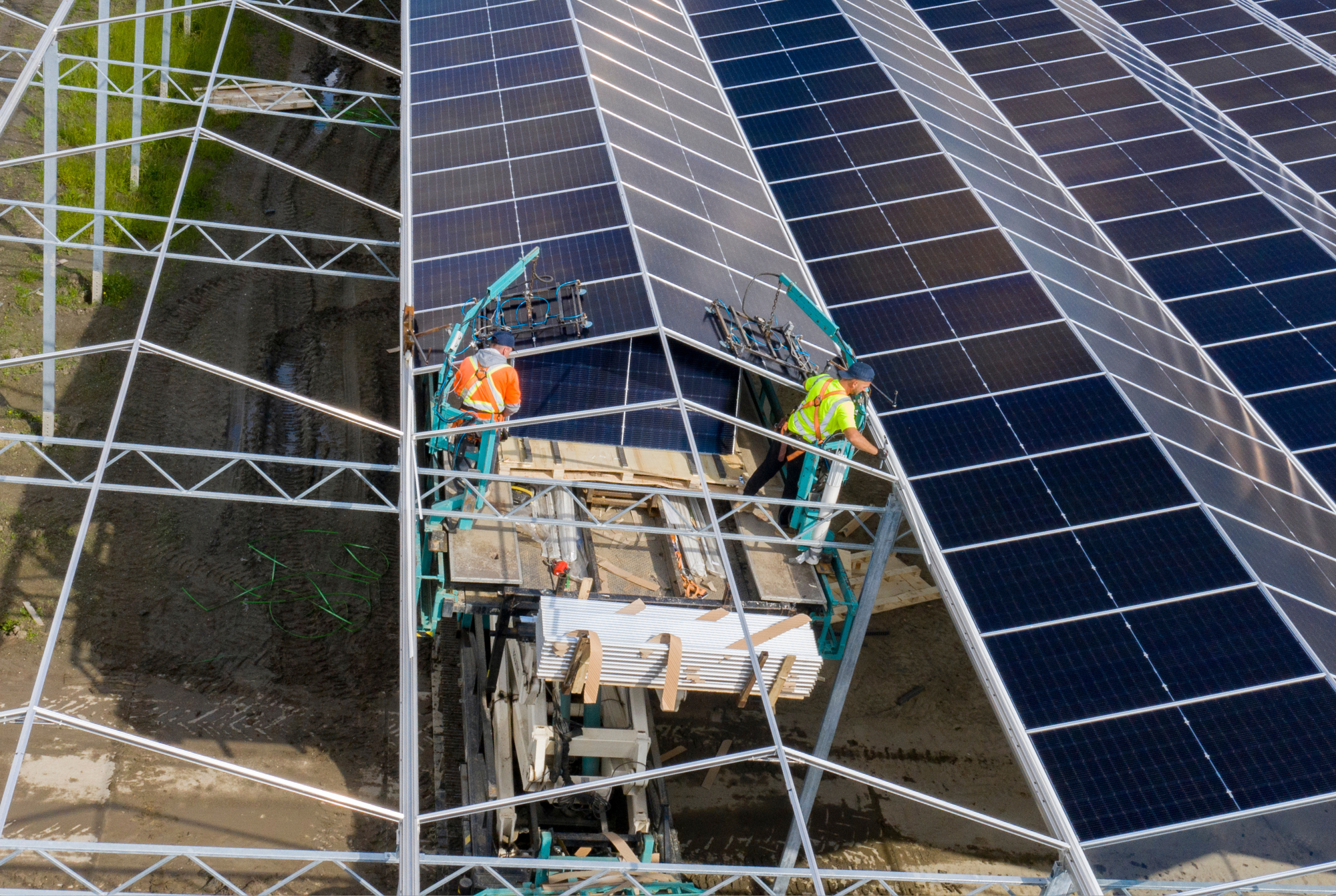 Royal Pride - Construction Phase