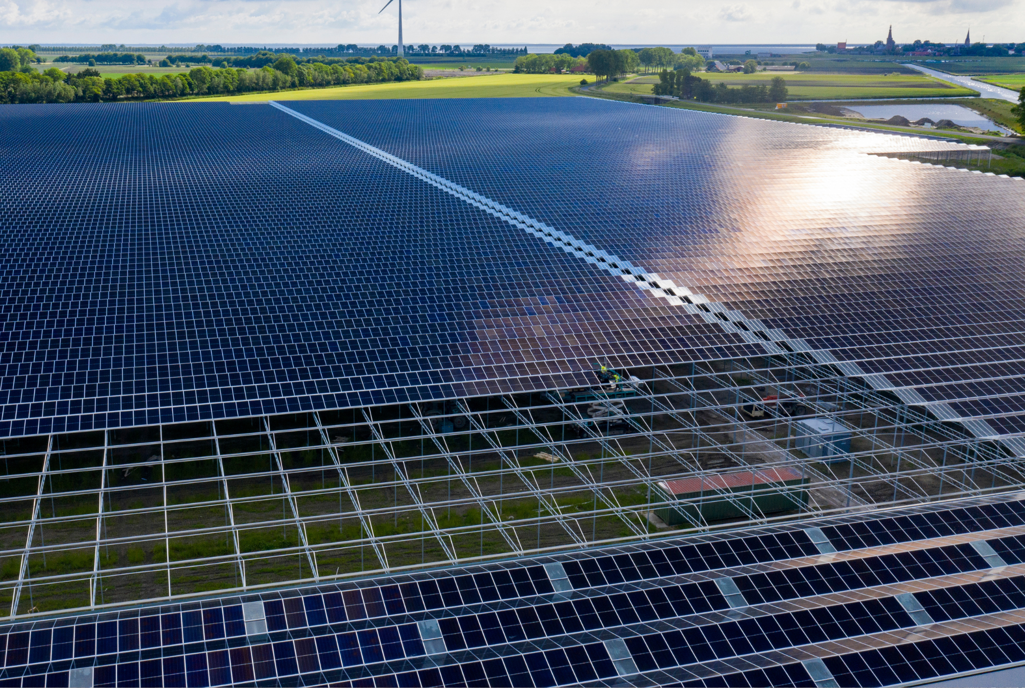 Royal Pride - Project Overview