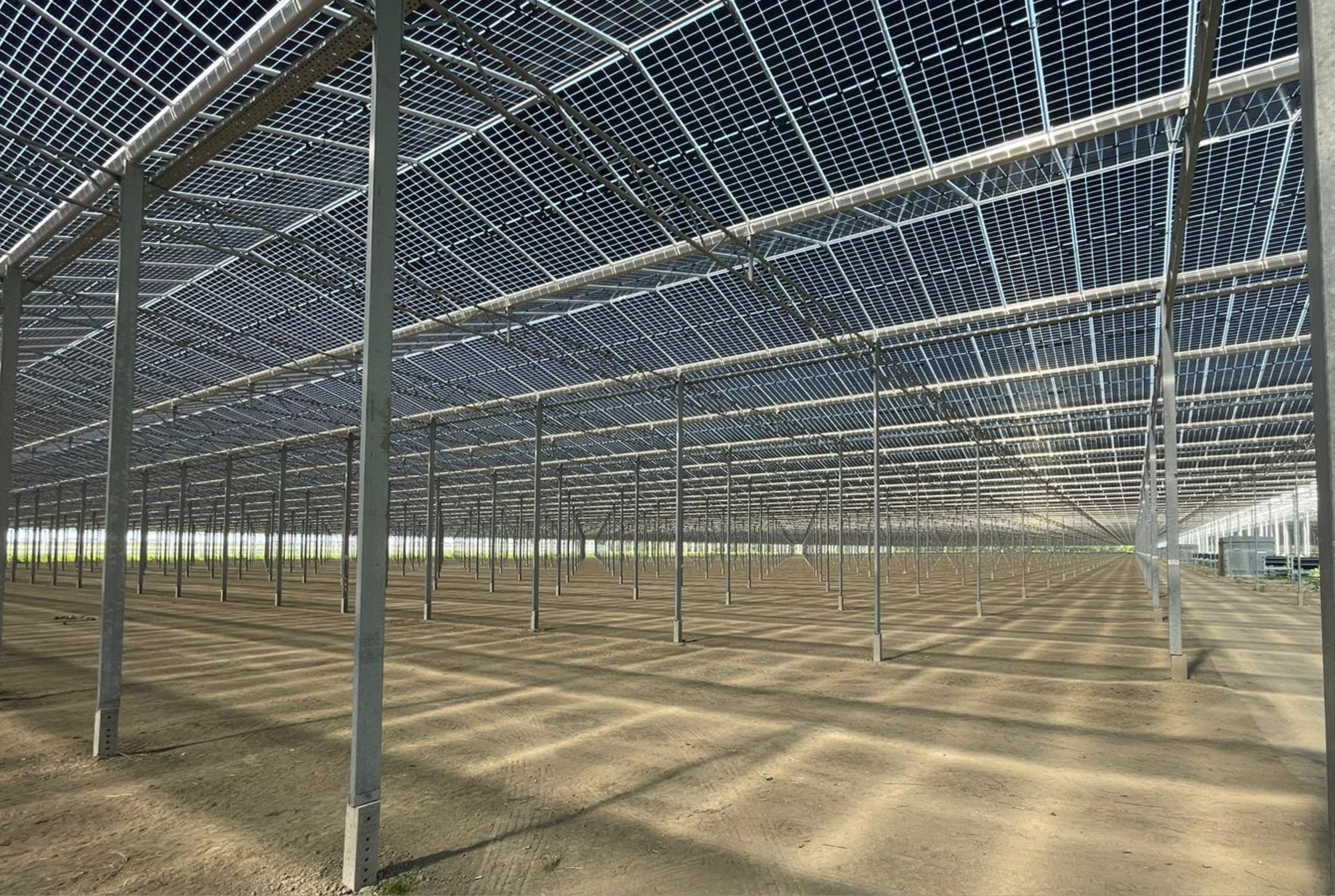 Royal Pride - Project Overview