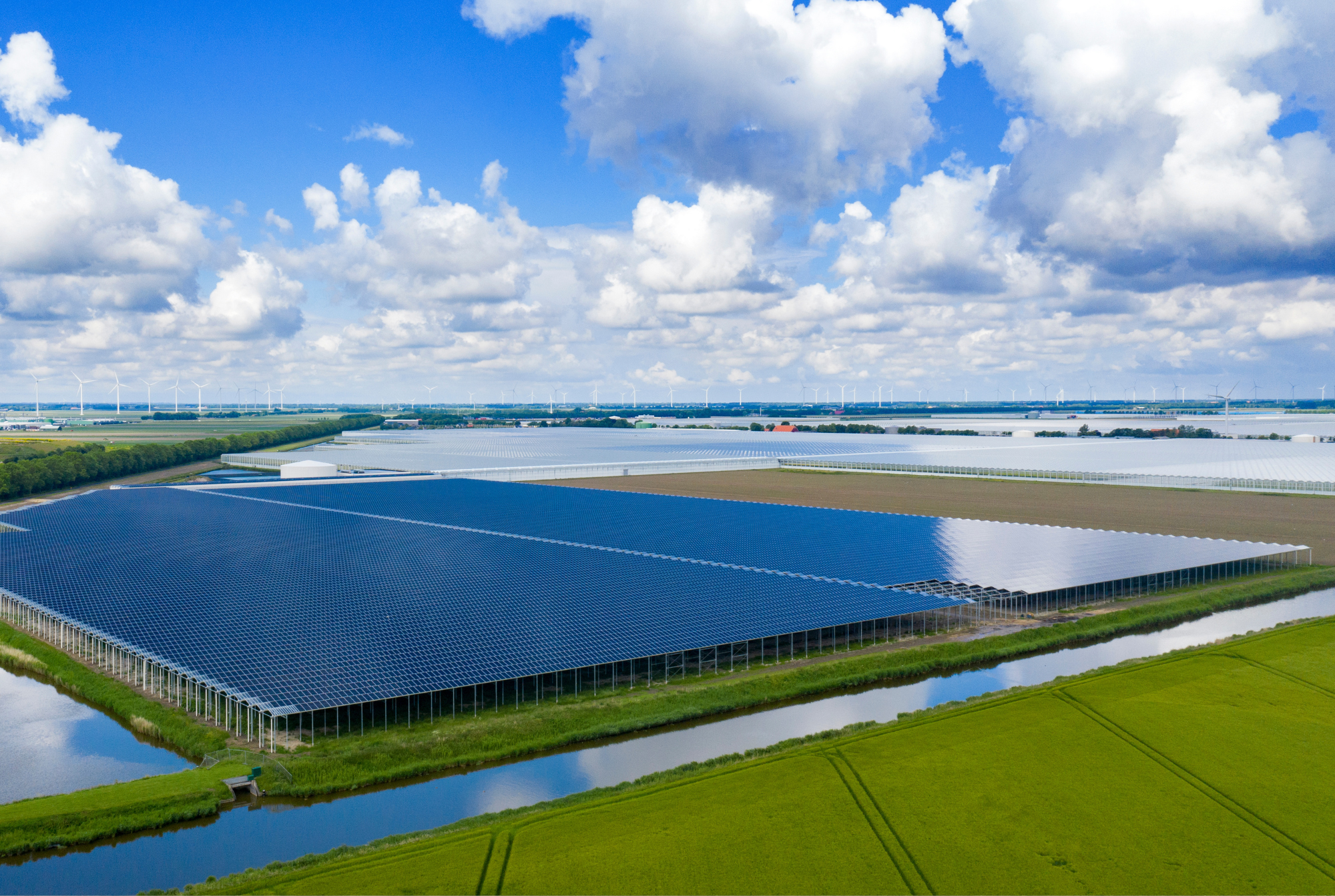 Royal Pride - Project Overview