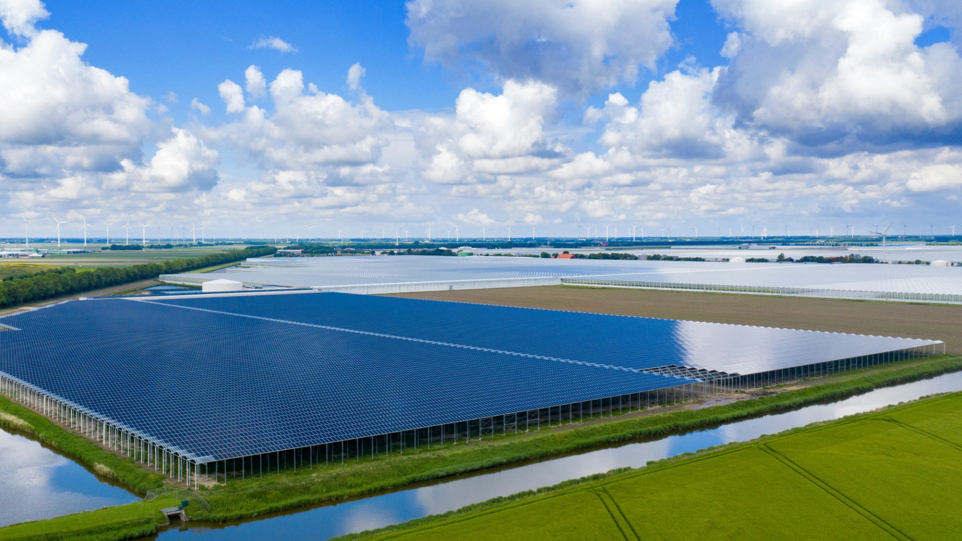 Integrated Solar Greenhouse Project at Royal Pride, The Netherlands