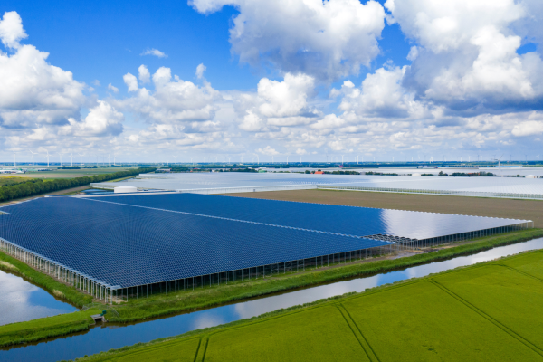 Integrated Solar Greenhouse Project at Royal Pride, The Netherlands-image
