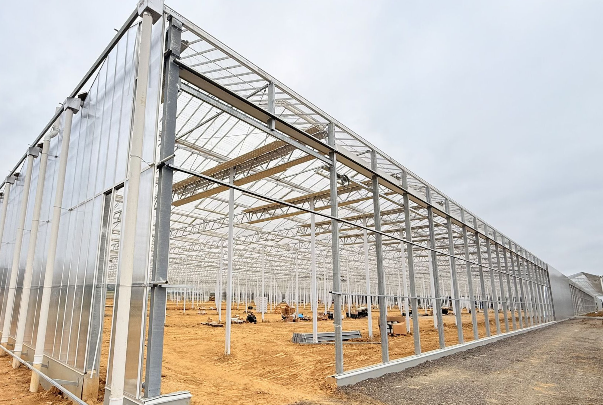 Gemüsebau Steiner - Building Phase