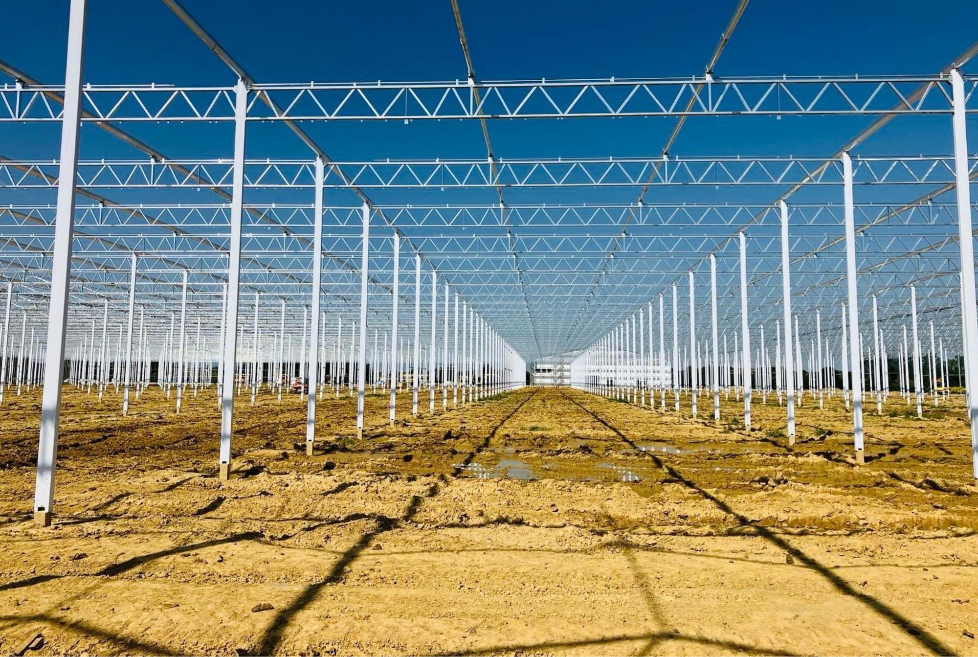Gemüsebau Steiner - Building Phase