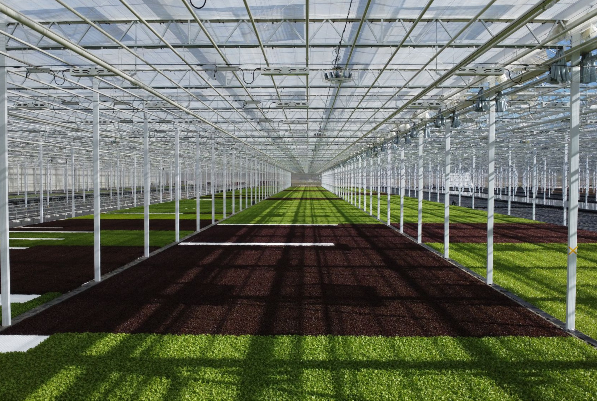 Gemüsebau Steiner - Final Results