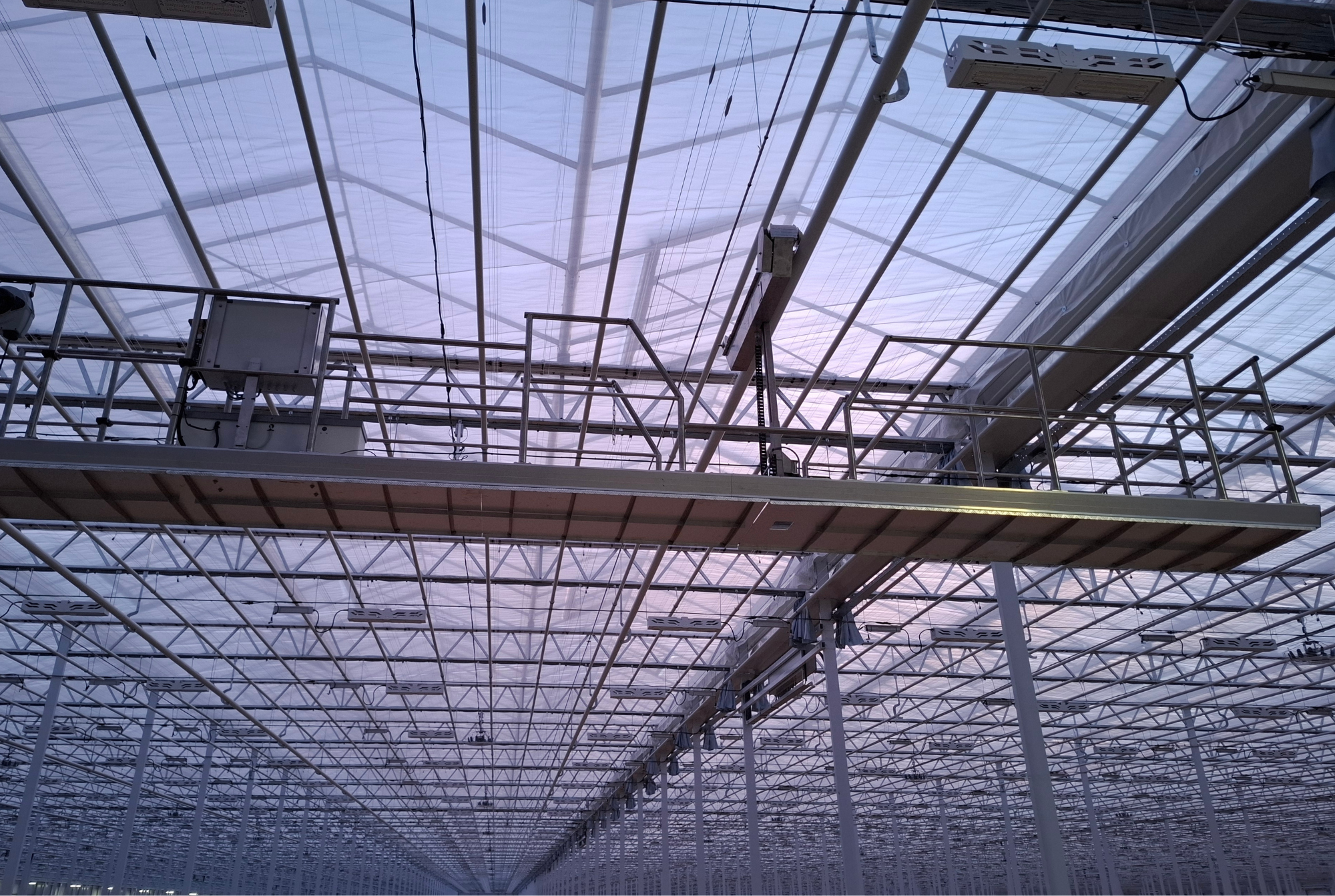 Gemüsebau Steiner - Final Results