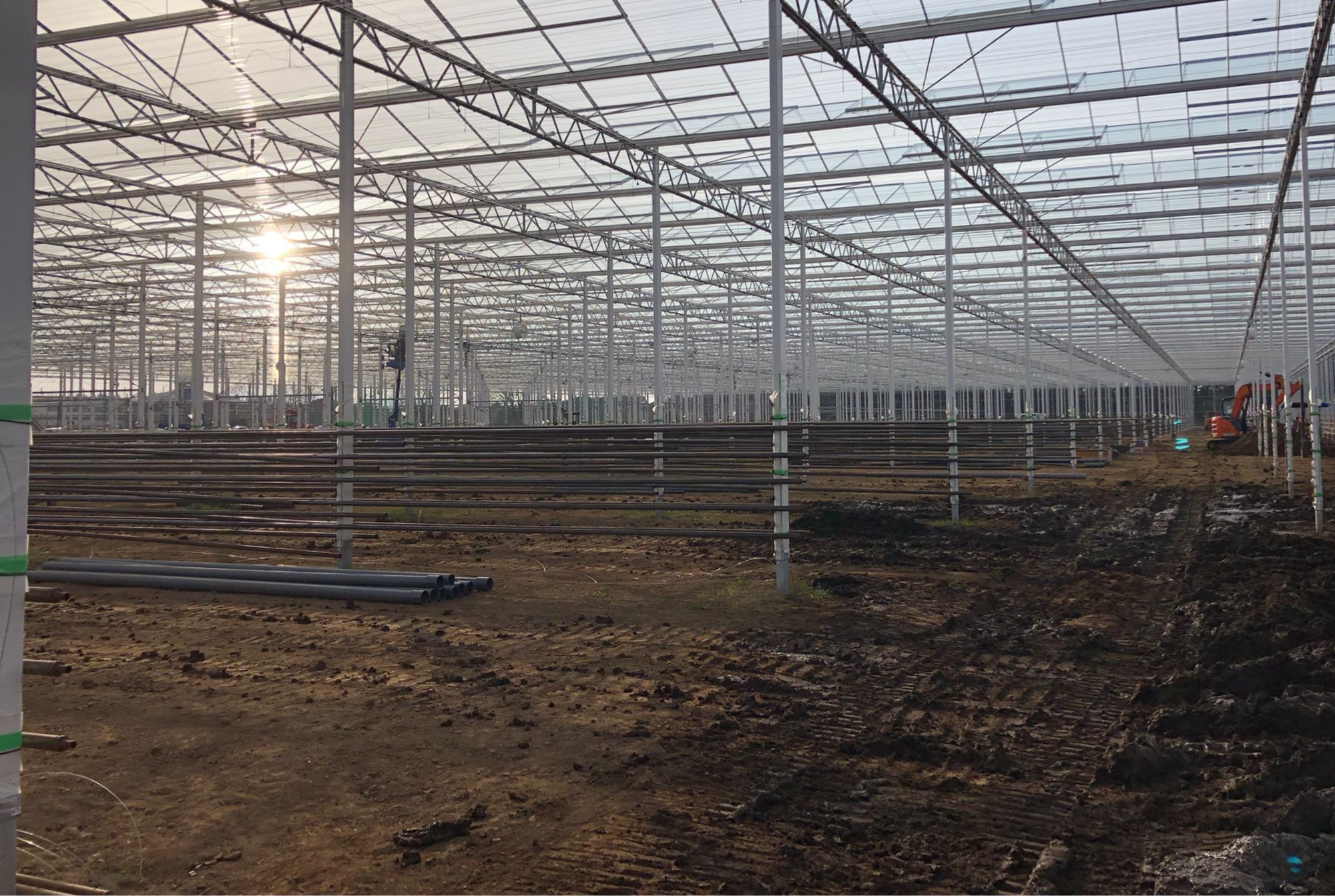 Tedy Co - Construction Phase