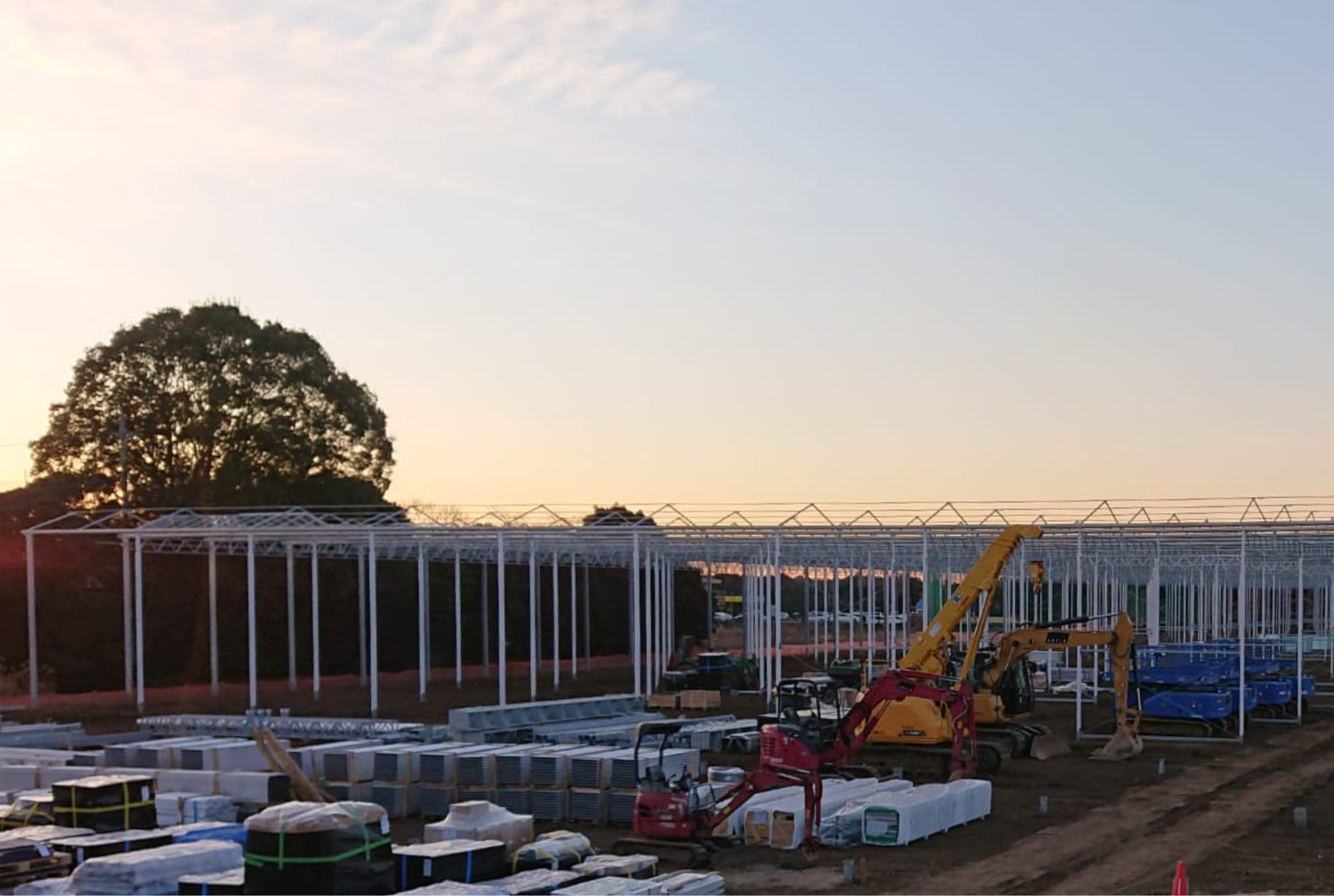 Tedy Co - Construction Phase