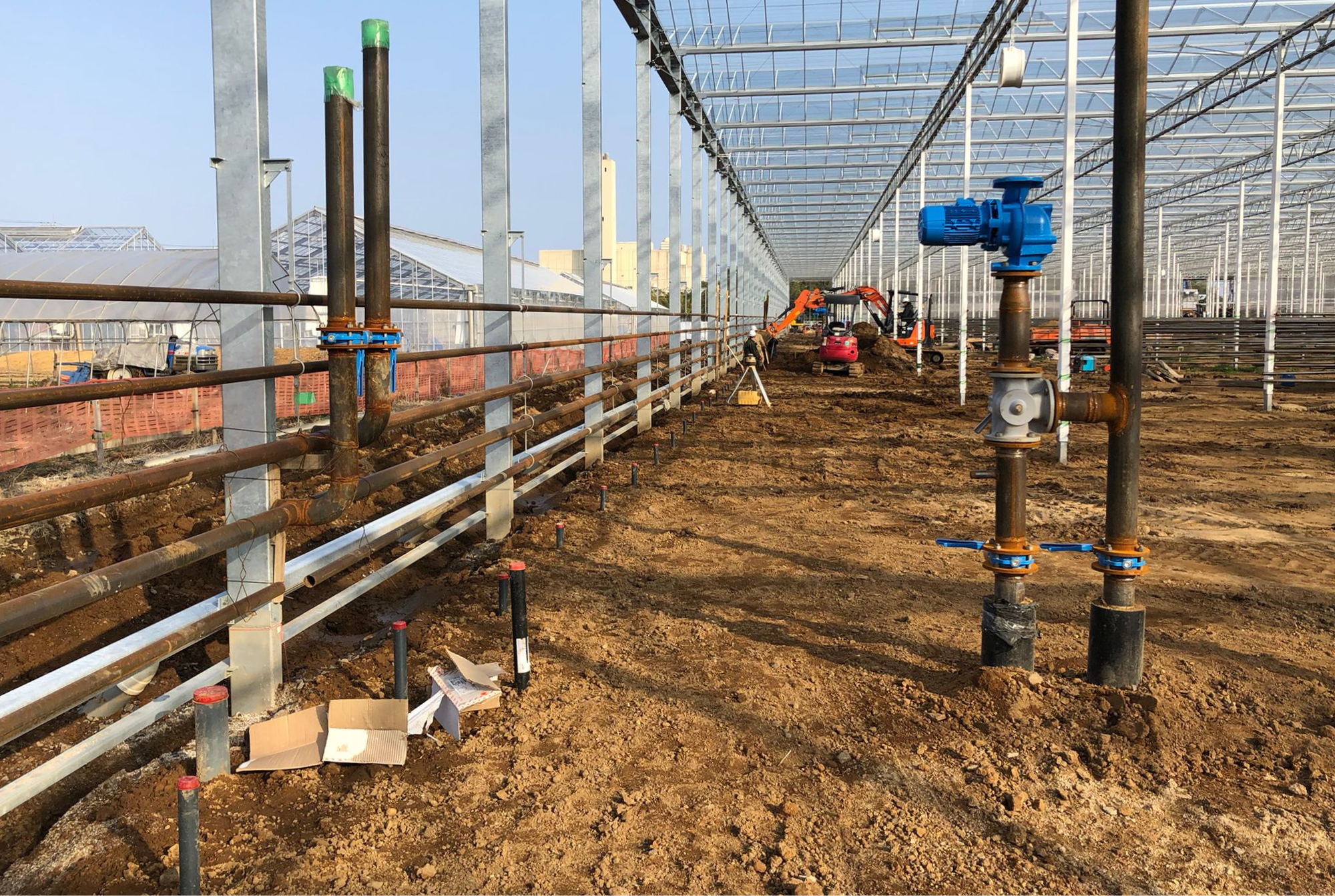 Tedy Co - Construction Phase