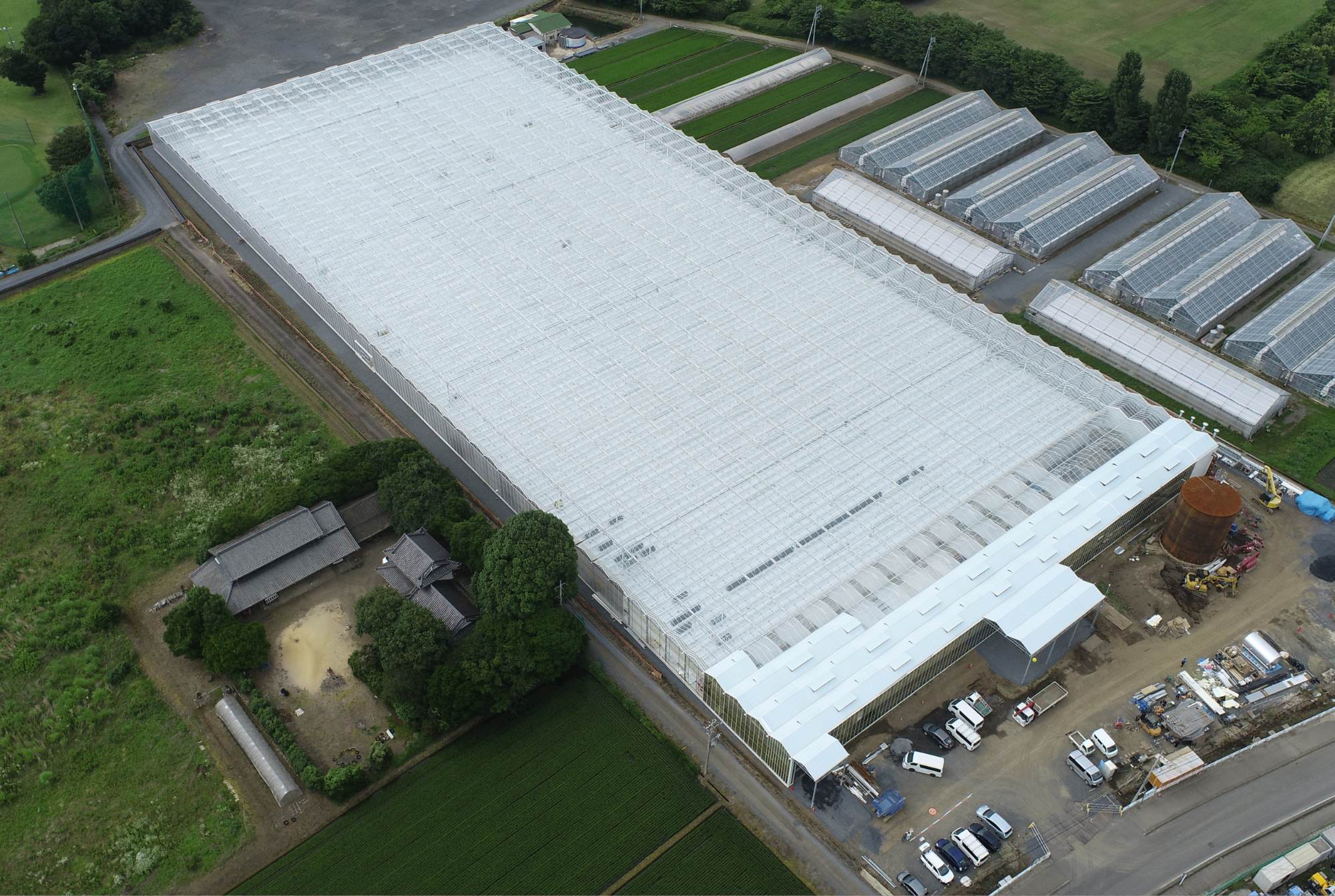 Tedy Co - Project Overview