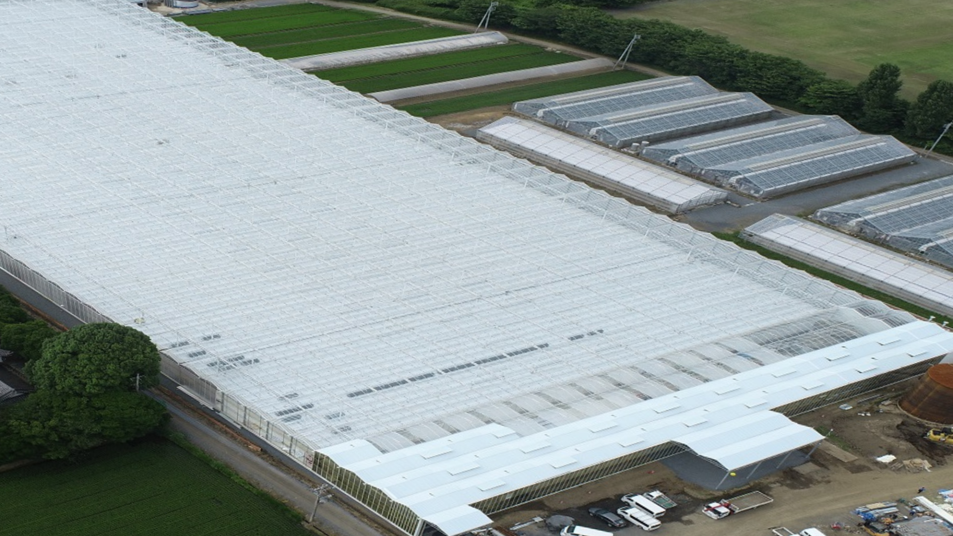 Complete Bell Pepper Project with NTT Agri Technology at Tedy Co, Japan