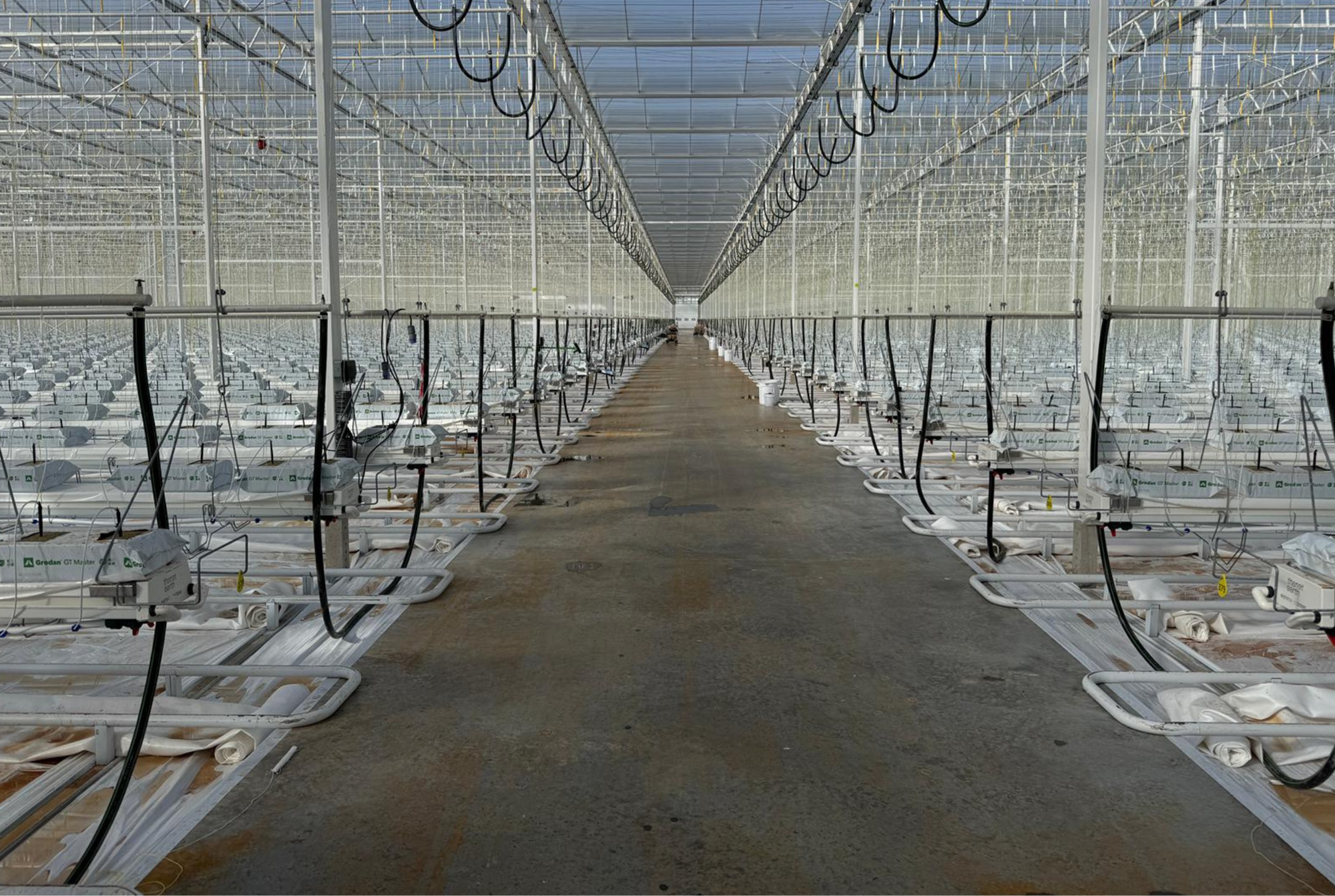 Thanet Earth - Construction Phase