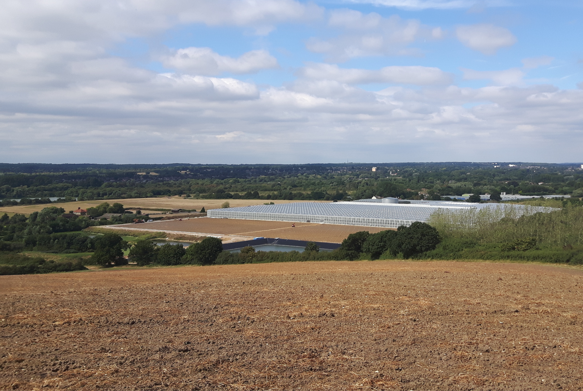 Valley Grown Salads - Project Overview