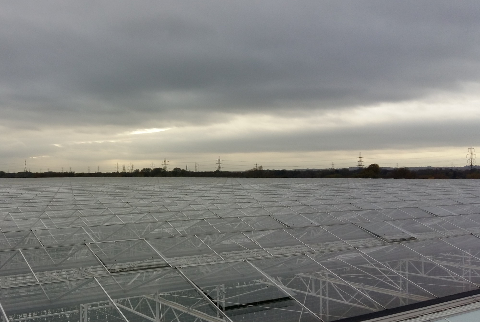 Valley Grown Salads - Project Overview