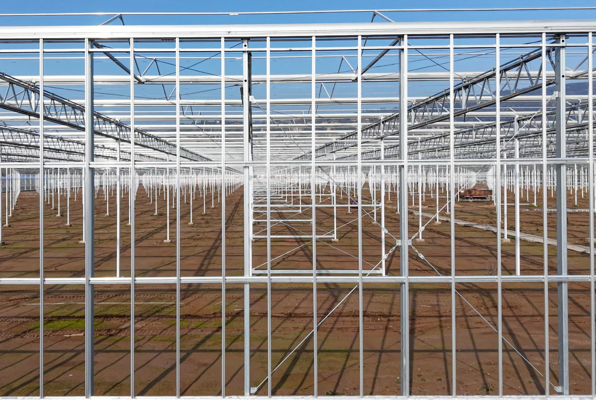 Yinong - Construction Phase