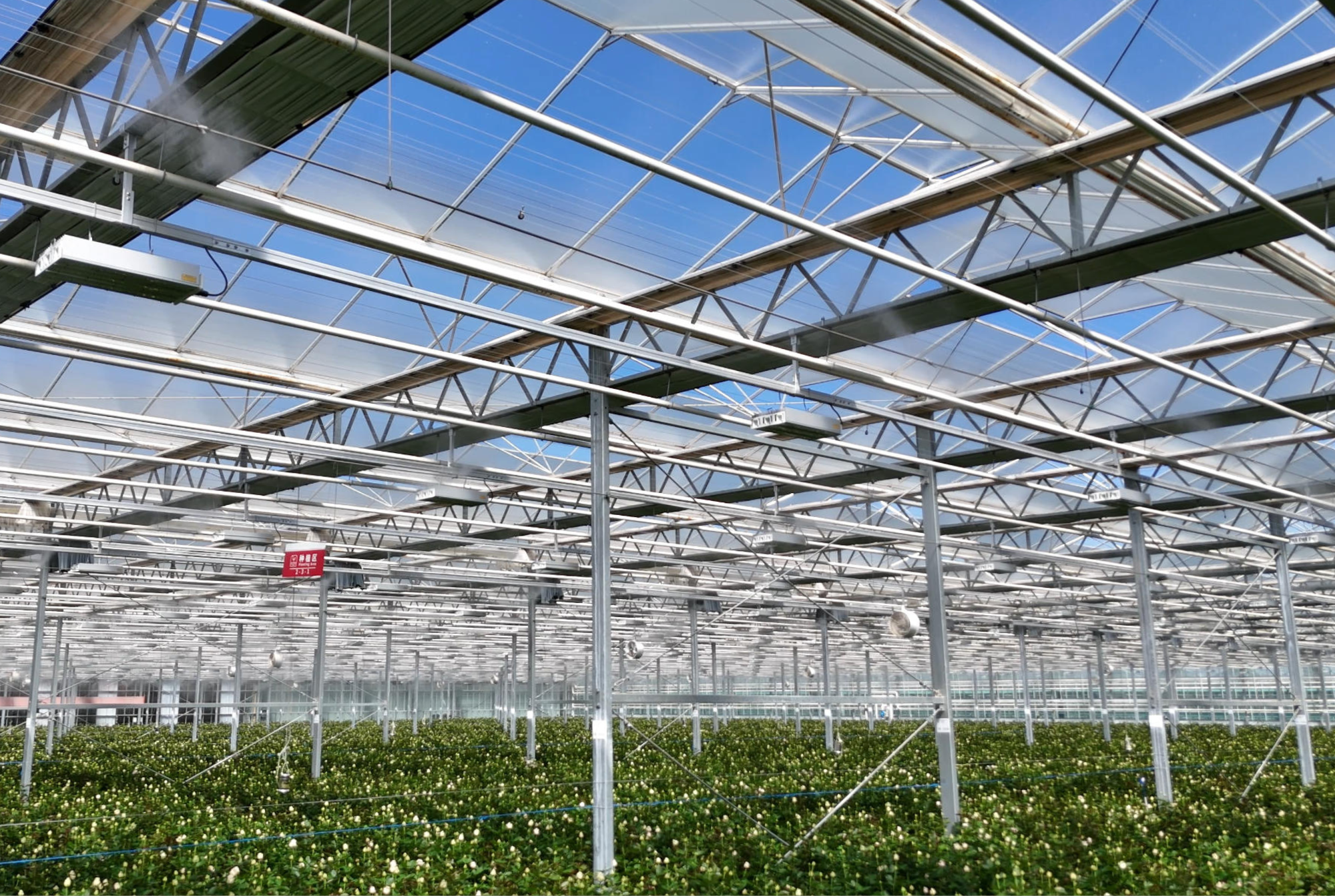 Yinong - Final Results