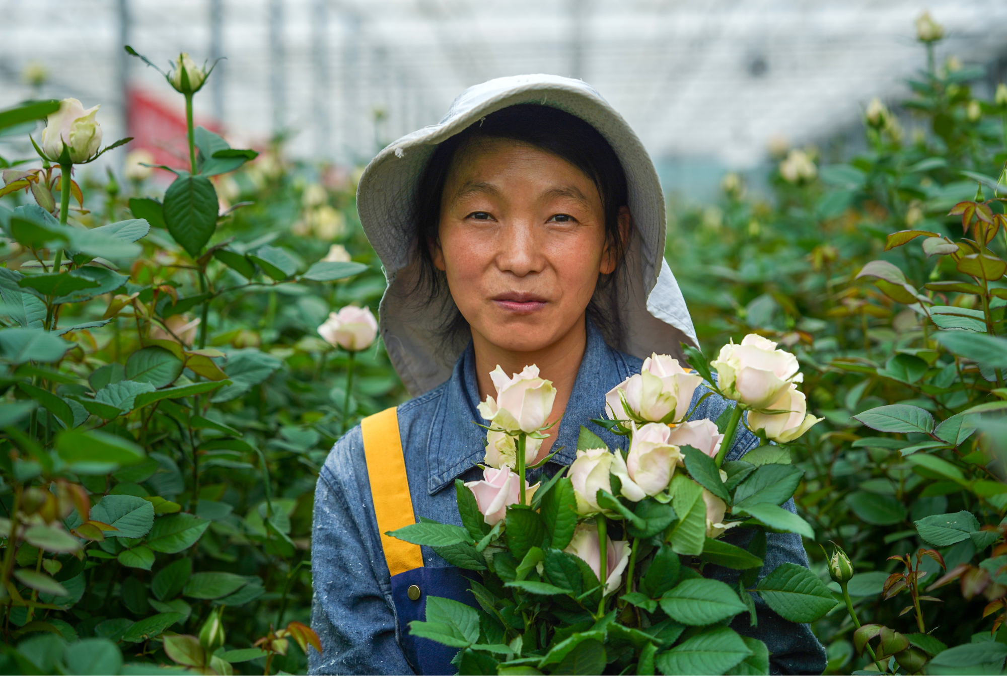 Yinong - Final Results