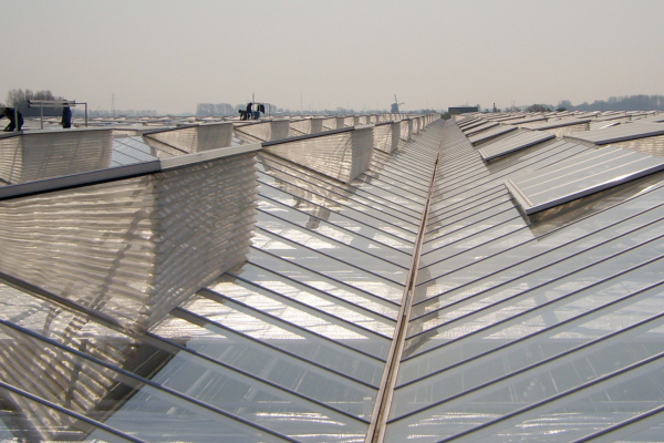 Introduction of insect netting-image