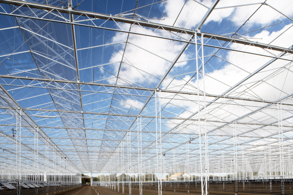 Introduction of the Twinlight greenhouse-image